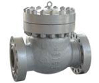 Cl 900, 1500 Lb Cast Steel Swing Check Valves