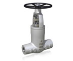 Pressure Seal Gate Valves