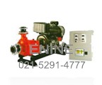 Diesel Engine Fire Pump