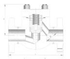 Forge Steel NPT & SW Ends API 602 Check Valves