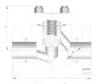 Forge Steel NPT & SW Ends API 602 Check Valves