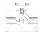 Forge Steel Flanged API 602 Check Valves