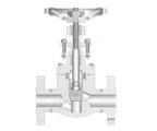 Forge Steel Flange & SW Ends API 602 Globe Valves