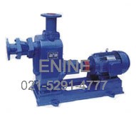 Self-Priming Sewage Pumps