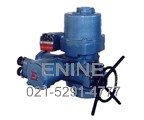 Multi-Rotary Electric Actuator