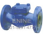 DIN Lift Check Valves