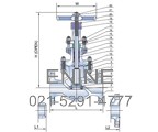 Cl 150, 300, 600 Lb Cast Steel Globe Valves