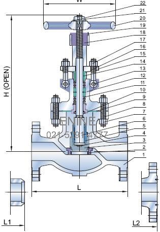 Materials of Cl 900, 1500 Lb Cast Steel Globe Valves