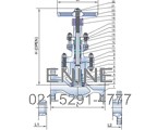 Cl 900, 1500 Lb Cast Steel Globe Valves
