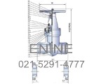 Pressure Seal Gate Valves