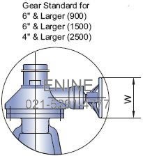 Gear Standard