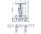 Pressure Seal Globe Valves
