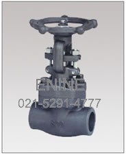 Forged Steel Bolted Bonnet Gate Valves, Threaded and Socket weld