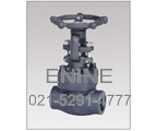 Forged Steel Bolted Bonnet Gate Valves