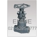 Forged Steel Welded Bonnet Gate Valves