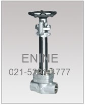 Forged Cryogenic Gate Valves, Threaded and Socket weld Ends
