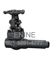 Extended Body Gate Valves