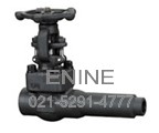 Extended Body Gate Valves