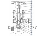 Forged Steel Globe Valves