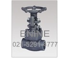 Forged Steel Bolted Bonnet Globe Valves