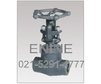 Forged Steel Welded Bonnet Globe Valves