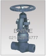 Forged Steel Pressure Seal Globe Valves, Threaded and Socket weld