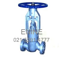 Forged Steel Pressure Seal Globe Valves, Flanged