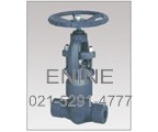 Forged Steel Pressure Seal Globe Valves