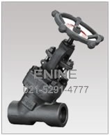  Y Globe Valve (forged steel 45?inclined globe valves)