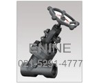 Y Pattern Globe Valves, Forged, Pressure Seal