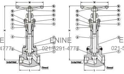 Materials of Cryogenic Globe Valves, Forged steel, Class 800Lb