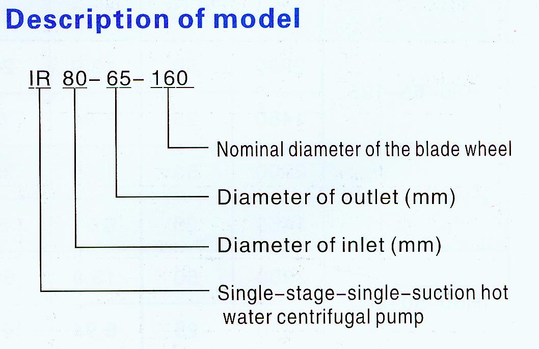 Description of model