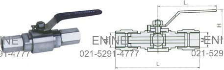 PN 6.4 MPa- Female NPT Ends-Dimensions