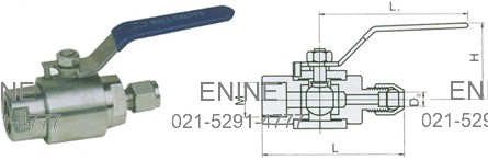 PN 6.4 MPa- Tube Fitting Lagging Extension to Female NPT with Gauge Ports-Dimensions