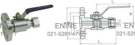 PN 6.4 MPa- NPT Lagging Extension to Flange-Dimensions