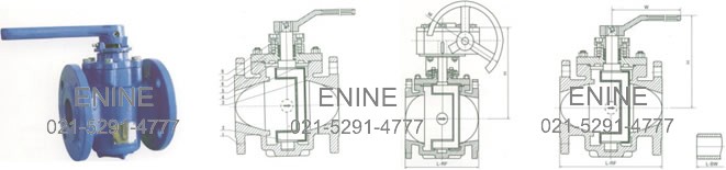 Eccentric Plug Valves