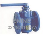 Eccentric Plug Valves