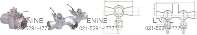 Plug Valves with Single or Double Flush