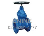 Non rising stem resilient seated gate valves