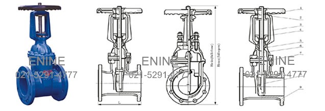 Rising stem resilient seated gate valves