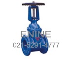 Rising stem resilient seated gate valves