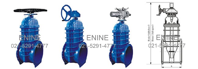 Oversized resilient seated gate valves