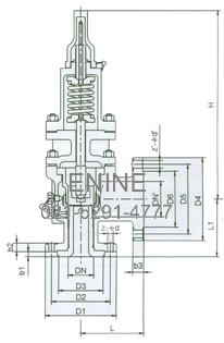 Low Pressure Safety Valves (LPSV)