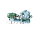 Water ring vacuum pumps