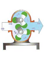 凸轮转子万用输送泵5