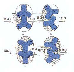 凸轮转子万用输送泵7