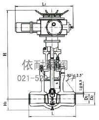  Z962Y/Z962YP54型 电站用电动对焊闸阀 结构图