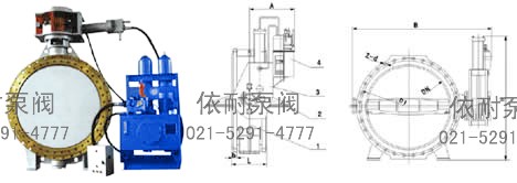 HD7Q41X全液控止回蝶阀 外形尺寸图