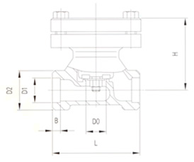 DH61F低温止回阀 结构图