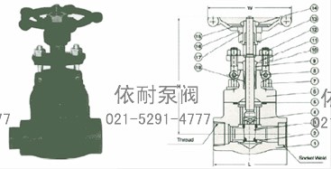 800磅锻钢放空导淋阀 总装图